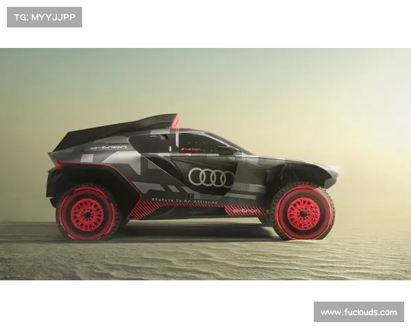 奥迪参加的赛事_奥迪拿过的汽车赛事冠军