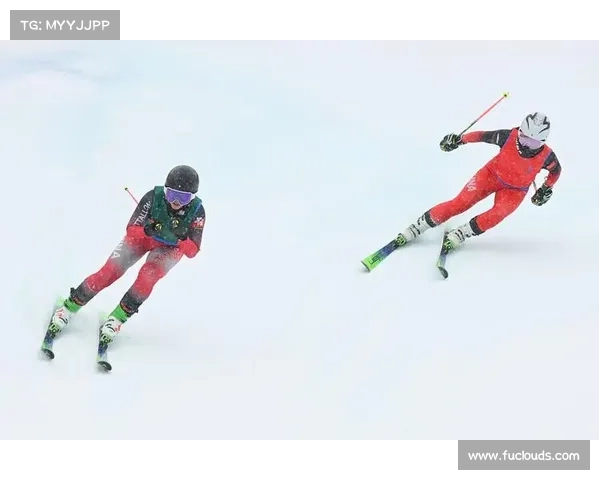 自由式滑雪赛事有哪些