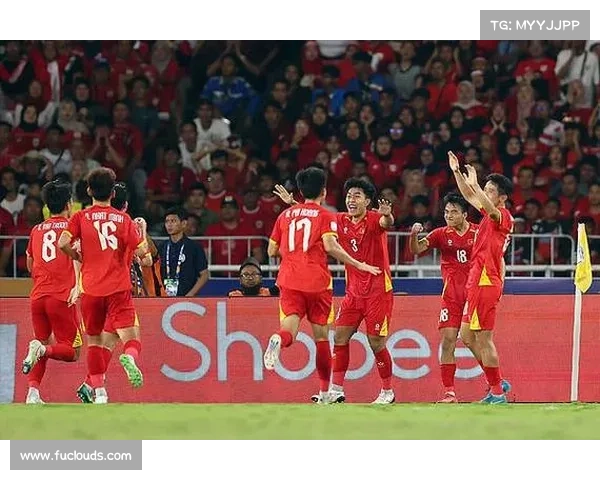 越南队16-0 越南队16-0
